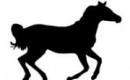 Гороскоп рожденных в год лошади Характер огненной лошади 1966 г женщина ч