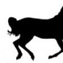 Horoskopi i të lindurve në vitin e kalit Personazhi i kalit të zjarrit 1966 gruaja h