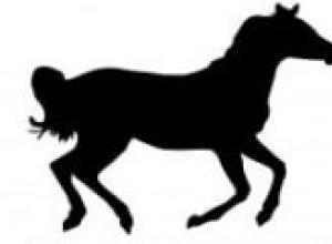 Horoskop för de födda i hästens år Karaktär av eldhästen 1966 kvinna h